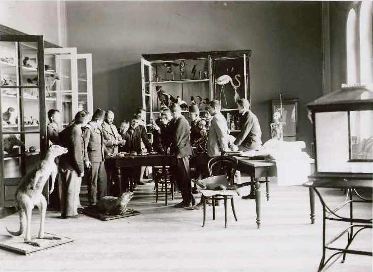 Gimnazija - interijer zoološki kabinet (František Topič) 1907