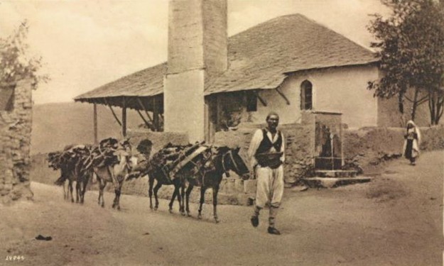 3 Zar mislite da možete izgraditi isti ovakav most, 1848. g.