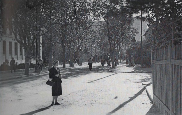 59632152_10216105673488838_5773244886950084608_n